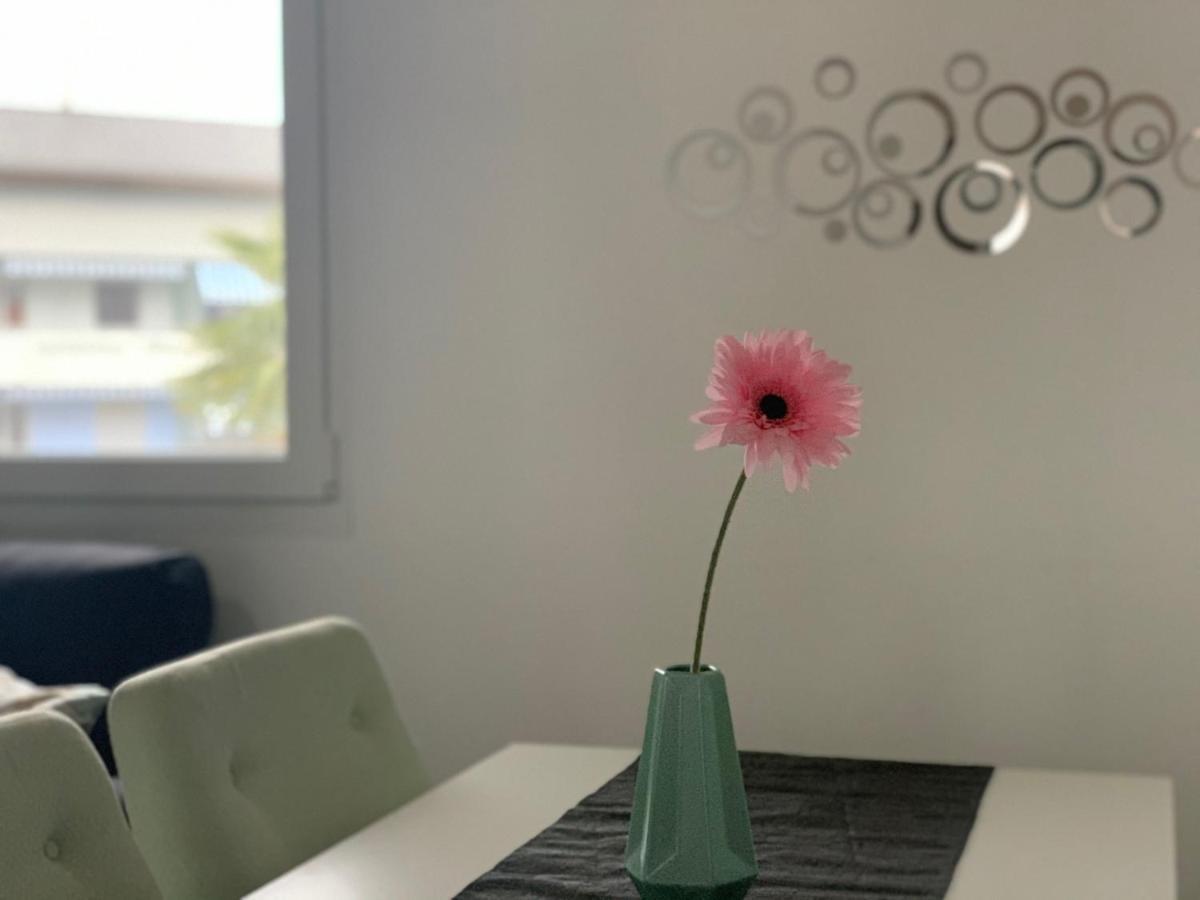 Miranda, Modern Duplex, Garden, Swimming Pool, Parking Leilighet Losone Eksteriør bilde